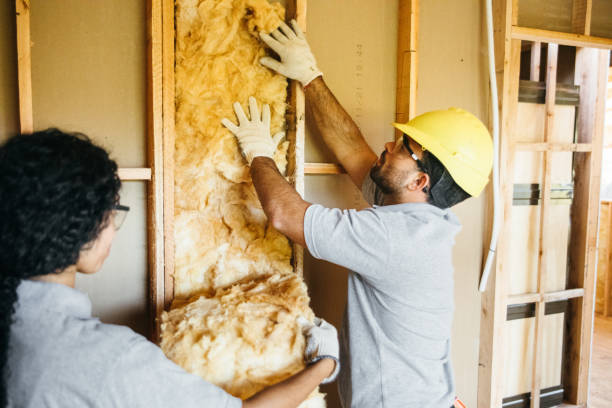 Best Insulation Contractor Near Me  in Colstrip, MT