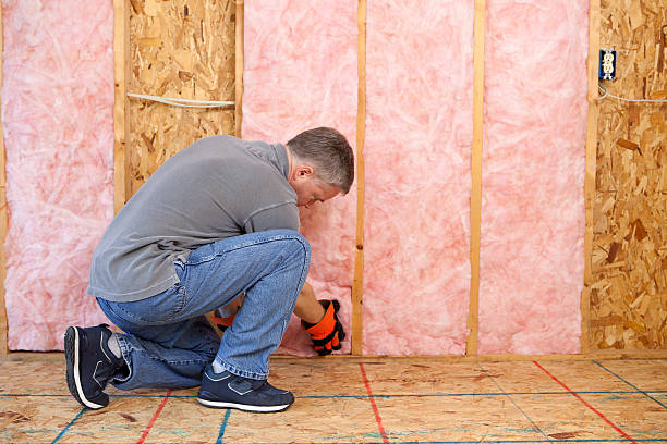 Best Best Insulation Companies  in Colstrip, MT